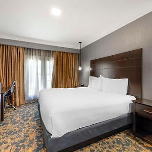 King Room Disability Access